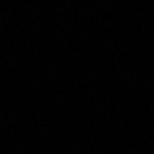 Meet your Posher, Lillian